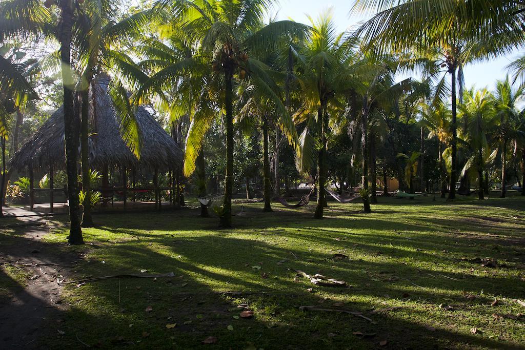 Turtle Beach Lodge Tortuguero Eksteriør billede