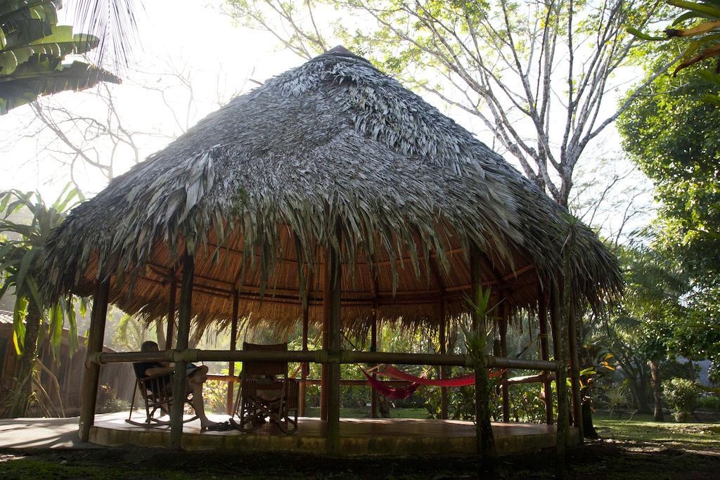Turtle Beach Lodge Tortuguero Eksteriør billede