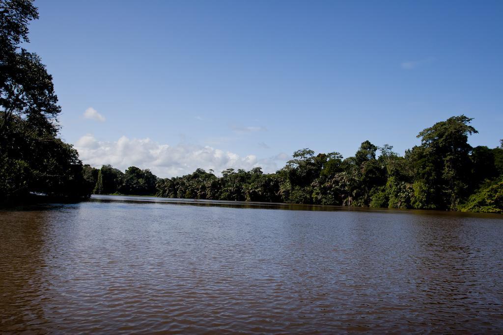 Turtle Beach Lodge Tortuguero Eksteriør billede