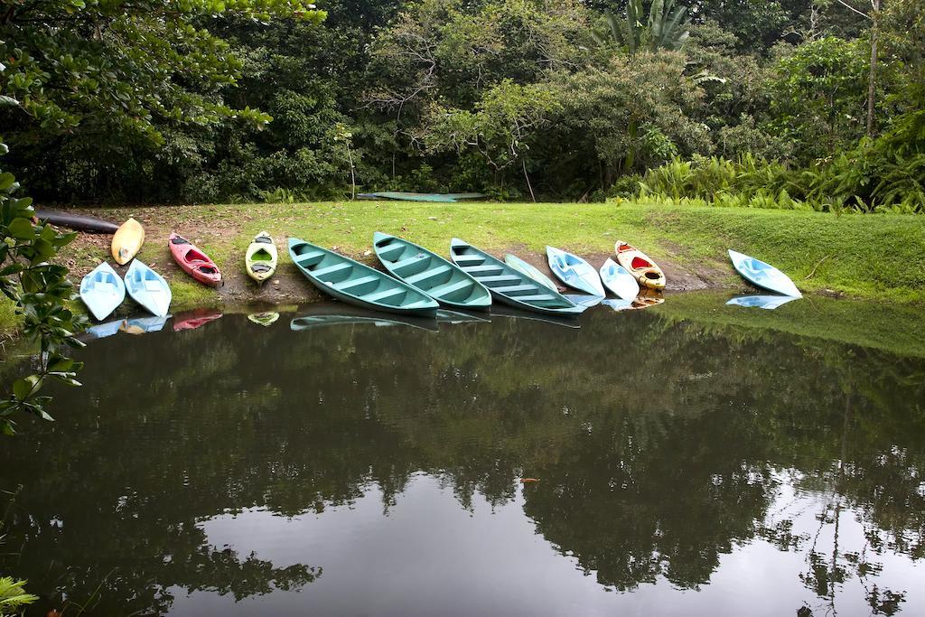 Turtle Beach Lodge Tortuguero Eksteriør billede