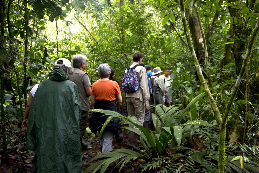 Turtle Beach Lodge Tortuguero Eksteriør billede